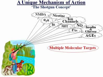 A diagram of the different types of action in an animal.