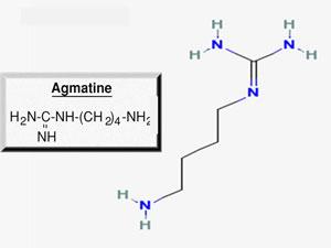 A picture of the structure of agmatine.