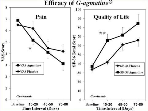 A graph showing the efficacy of g-agmatine.