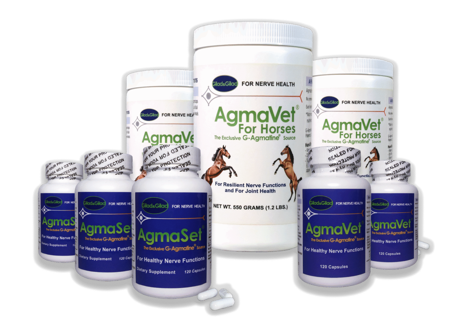 agmavet + agmaset bottles v3-6 agmavet + agmaset bottles v3-6